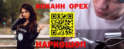 амф Сланцы