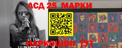 амф Сланцы