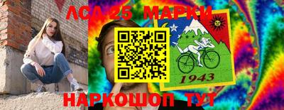 амф Сланцы