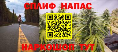 амф Сланцы