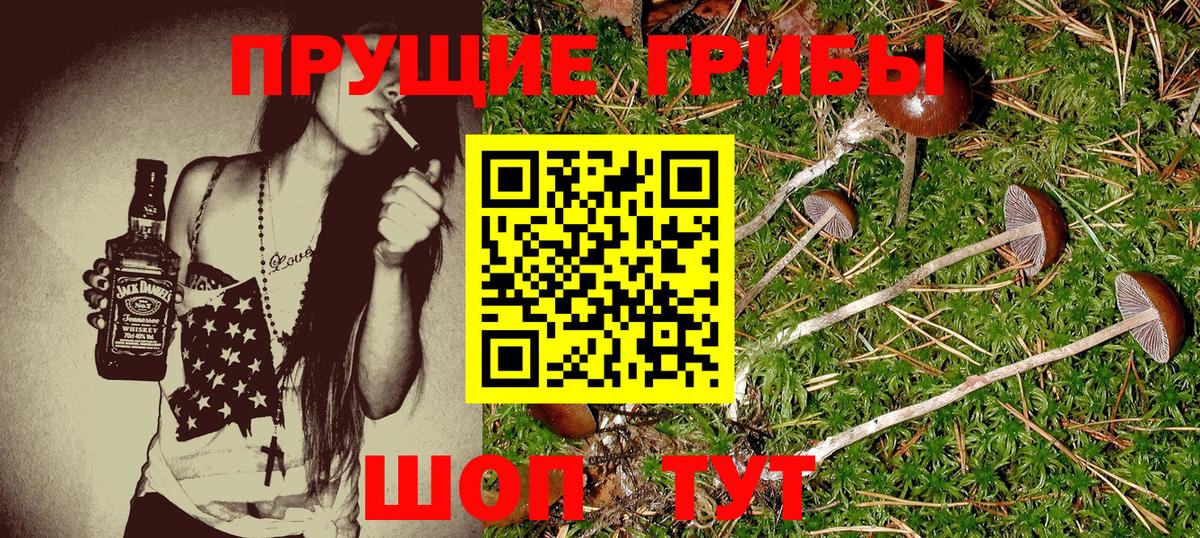 Псилоцибиновые грибы прущие грибы  даркнет сайт  Острогожск  Псилоцибиновые грибы мицелий  Вход с VPN 